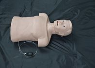 Manikins Pertolongan Pertama CPR Intubasi Setengah Tubuh Dewasa
