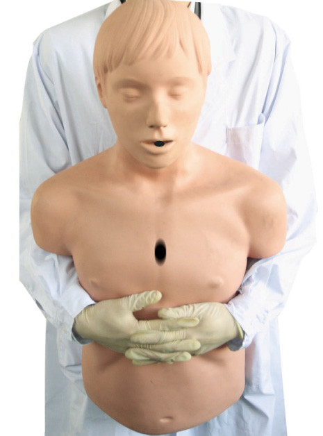 Model Airway Half Body / CPR Resuscitation Manikin untuk Pertolongan Pertama Heidegger