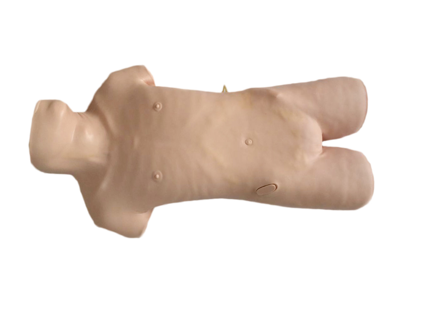 Realistic Upper Body Clinical Simulation Abdominocentesis Manikin untuk Praktik Tusuk