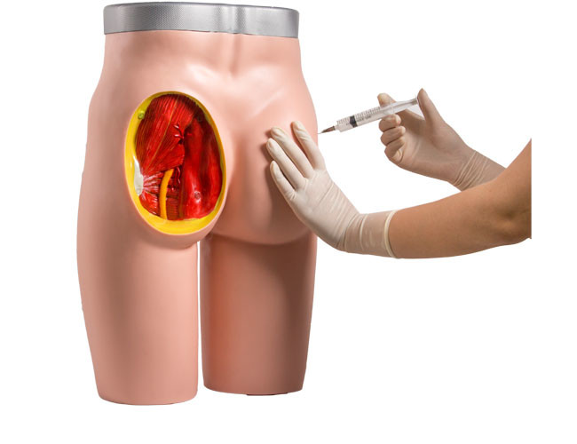 Pelatihan Injeksi Intramuscular Medical Human Buttock