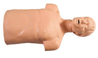 Perlindungan Lingkungan PVC Half-Body First Aid Manikins untuk Operasi CPR Berlatih