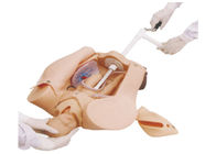 Soft Cushion Child Birth Simulator untuk Leopold Manuver, Model Pelatihan Medis