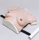 Simulator rumah sakit tubuh bagian atas wanita ukuran payudara untuk pemeriksaan tumor payudara