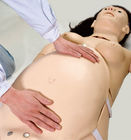 Pelatihan Mengajar Maternal Neonatal PVC Child Birth Simulator
