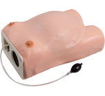 Simulator Ginekologi Pemeriksaan Maternitas Rumah Sakit PVC