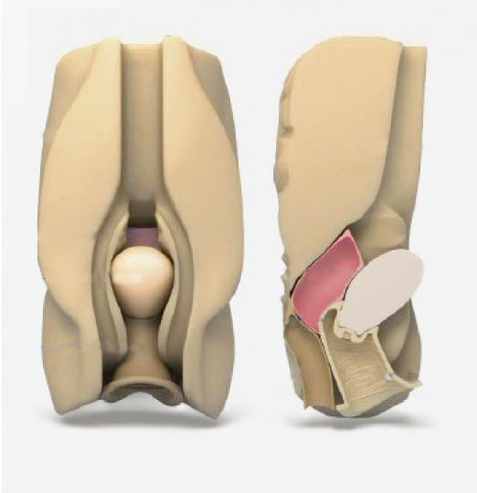 Organ perut wanita visceral vagina culdocentesis simulator Laparoskopi