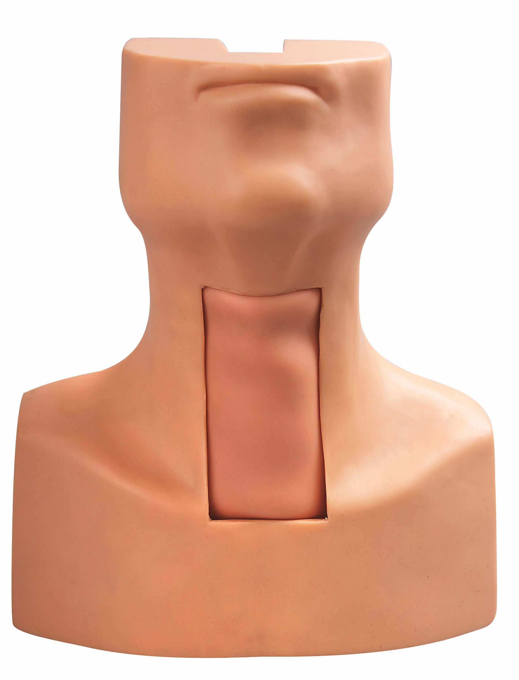 Model Intubasi Tenggorokan Trakeostomi dengan Simulated Trakea dan Leher untuk Latihan