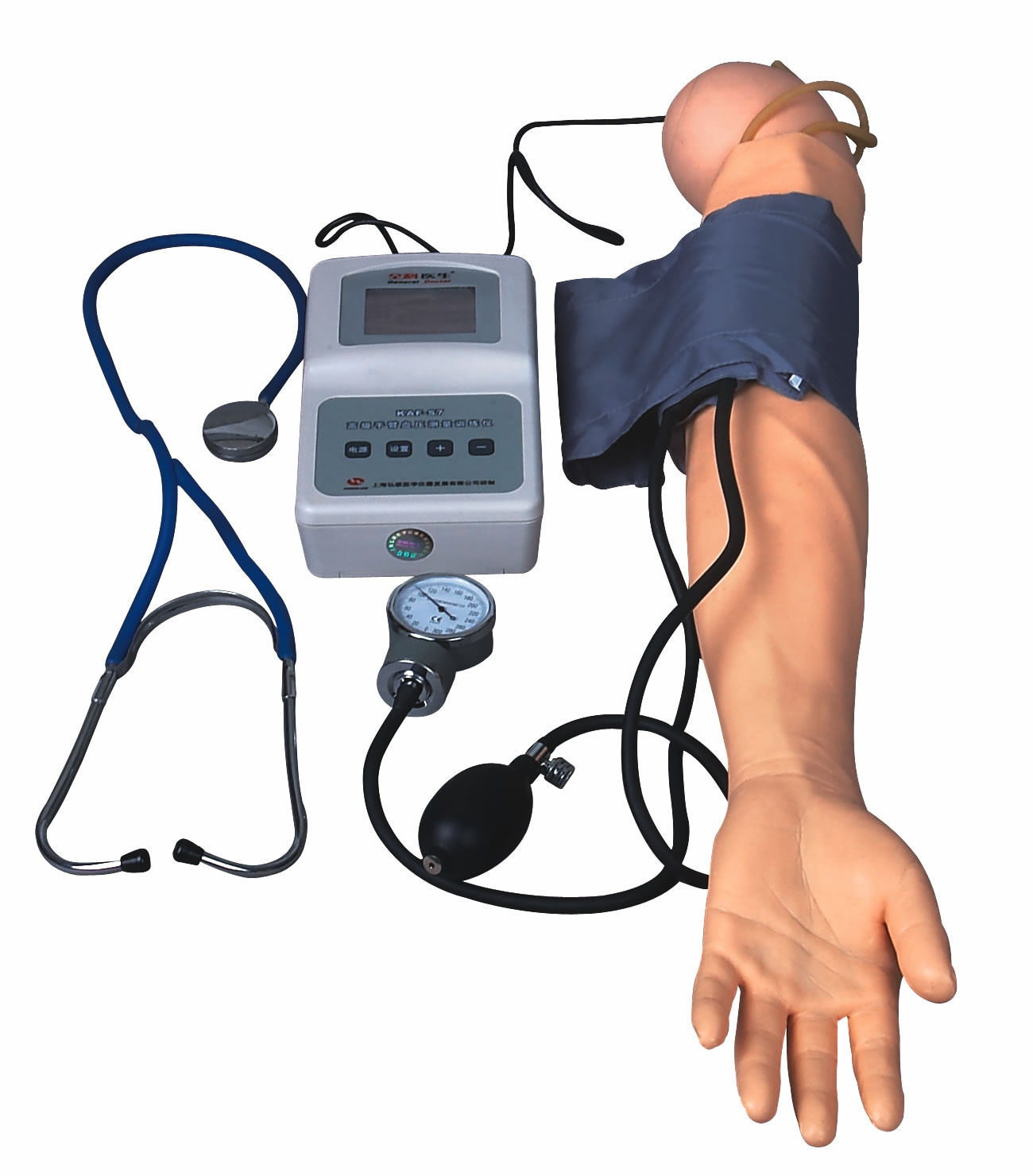 BP Measurement Arm With Exercise Blood Pressure model For Medical Colleges And Schools