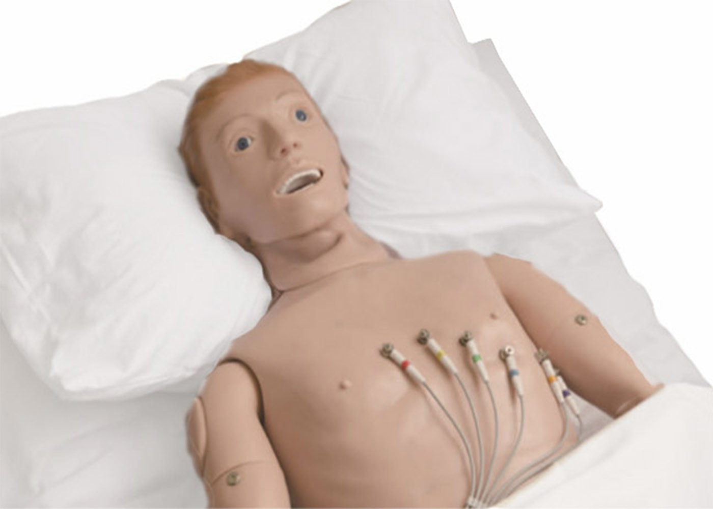 High Tech Elastic PVC Elektrokardiogram Simulasi Auskultasi untuk Rumah Sakit Belajar EKG