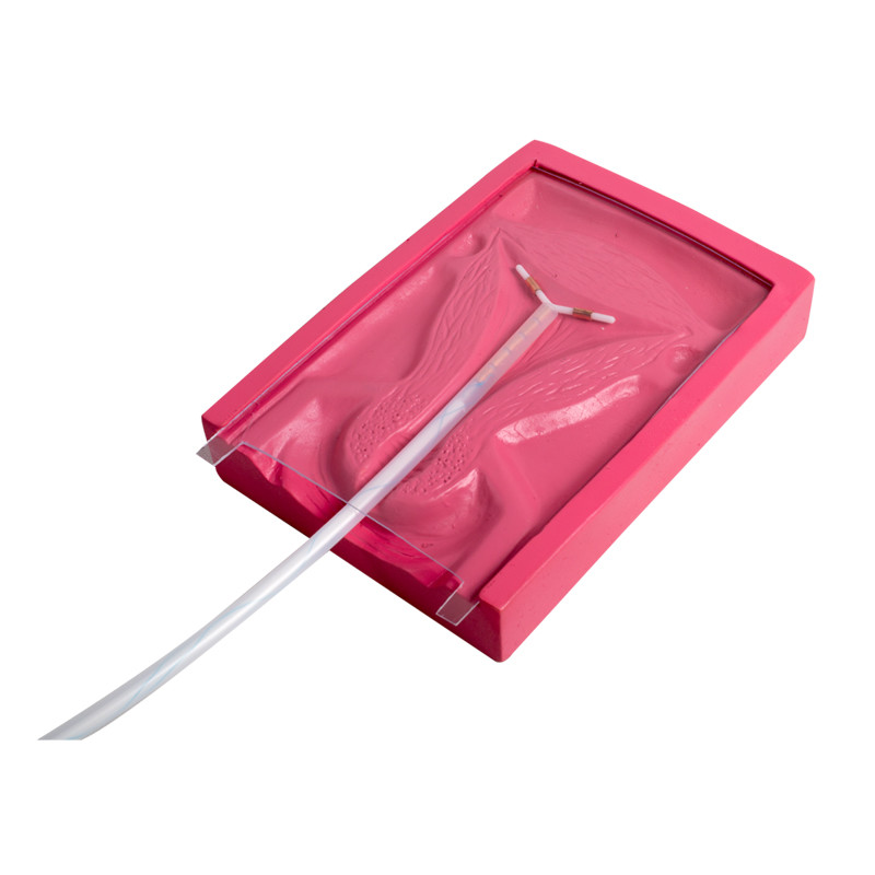 Simulator Ginekologi Penyisipan IUD PVC Medis Untuk Intrauterin